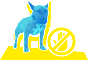 Umzüge mit Herz und Schnauze in Berlin